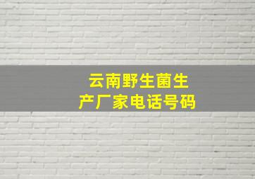 云南野生菌生产厂家电话号码