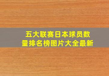 五大联赛日本球员数量排名榜图片大全最新