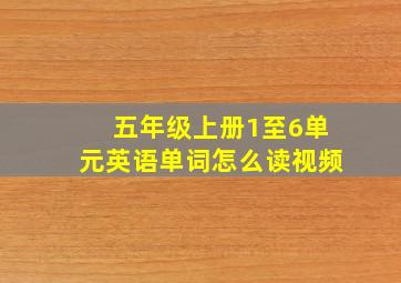 五年级上册1至6单元英语单词怎么读视频