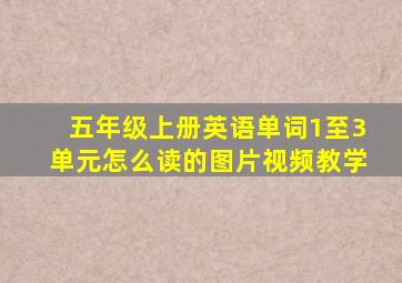 五年级上册英语单词1至3单元怎么读的图片视频教学