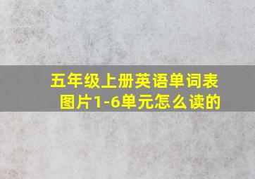 五年级上册英语单词表图片1-6单元怎么读的