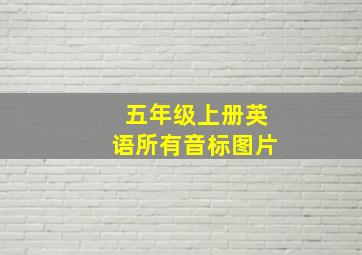 五年级上册英语所有音标图片