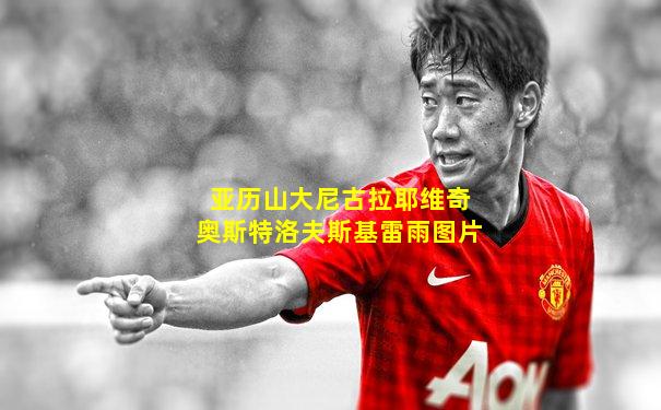 亚历山大尼古拉耶维奇奥斯特洛夫斯基雷雨图片