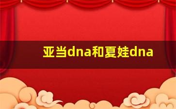 亚当dna和夏娃dna