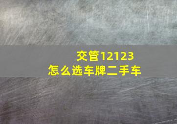 交管12123怎么选车牌二手车