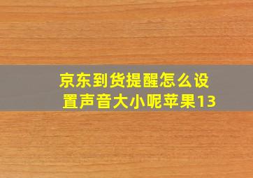 京东到货提醒怎么设置声音大小呢苹果13