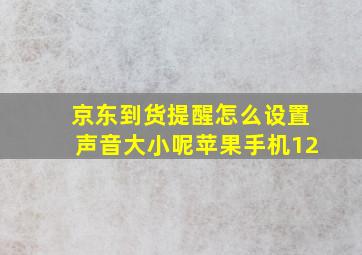 京东到货提醒怎么设置声音大小呢苹果手机12