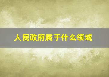 人民政府属于什么领域