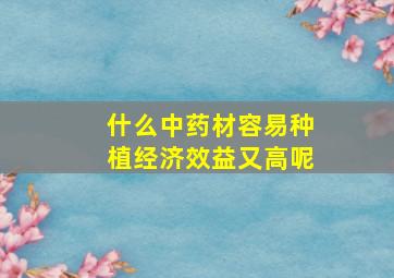 什么中药材容易种植经济效益又高呢