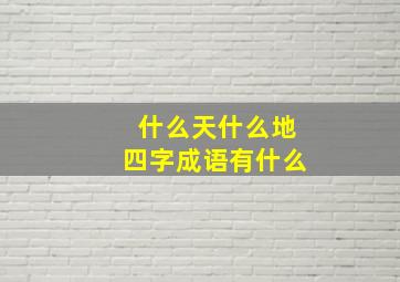 什么天什么地四字成语有什么