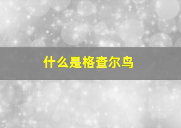 什么是格查尔鸟