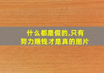 什么都是假的,只有努力赚钱才是真的图片