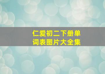 仁爱初二下册单词表图片大全集