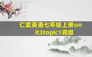 仁爱英语七年级上册unit3topic1词组