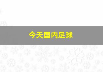 今天国内足球