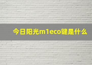 今日阳光m1eco键是什么