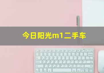 今日阳光m1二手车