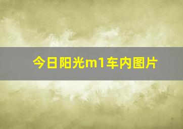 今日阳光m1车内图片