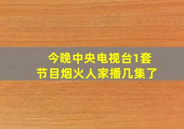 今晚中央电视台1套节目烟火人家播几集了