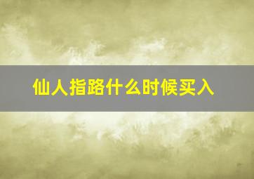 仙人指路什么时候买入