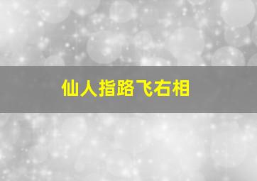 仙人指路飞右相