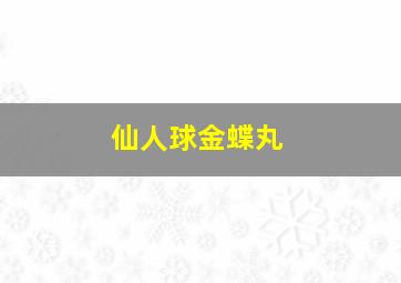 仙人球金蝶丸