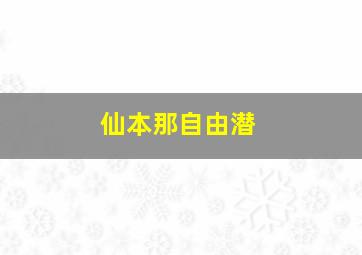 仙本那自由潜