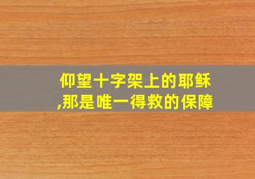 仰望十字架上的耶稣,那是唯一得救的保障