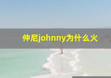 仲尼johnny为什么火