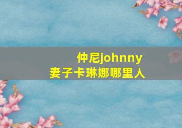 仲尼johnny妻子卡琳娜哪里人