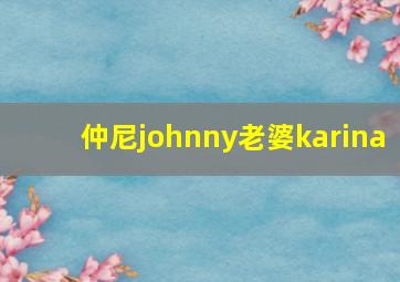 仲尼johnny老婆karina