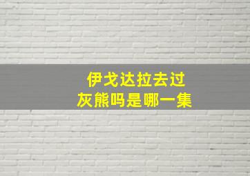 伊戈达拉去过灰熊吗是哪一集