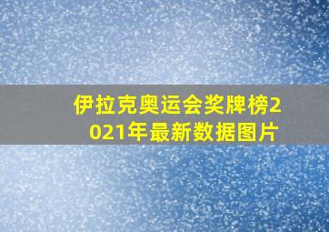 伊拉克奥运会奖牌榜2021年最新数据图片