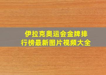 伊拉克奥运会金牌排行榜最新图片视频大全