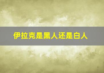 伊拉克是黑人还是白人