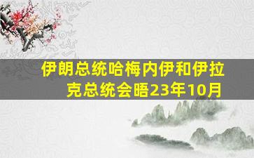 伊朗总统哈梅内伊和伊拉克总统会晤23年10月