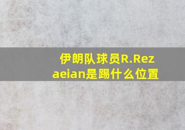 伊朗队球员R.Rezaeian是踢什么位置