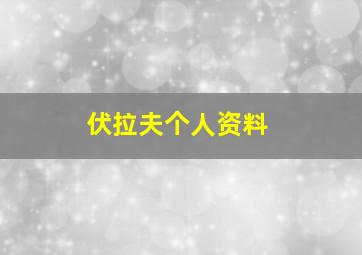 伏拉夫个人资料