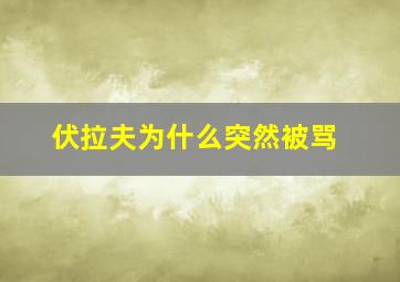 伏拉夫为什么突然被骂