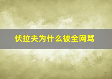 伏拉夫为什么被全网骂