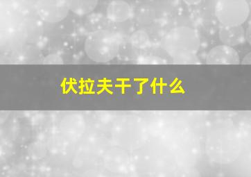 伏拉夫干了什么