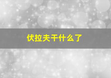 伏拉夫干什么了