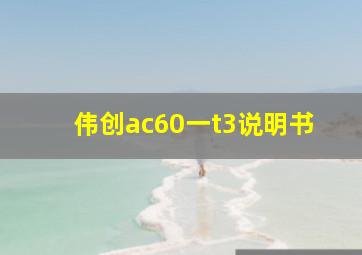 伟创ac60一t3说明书