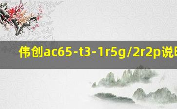 伟创ac65-t3-1r5g/2r2p说明书