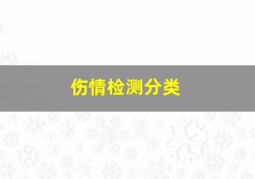 伤情检测分类