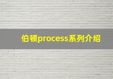 伯顿process系列介绍