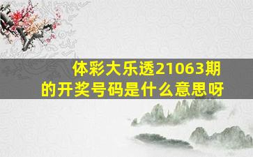 体彩大乐透21063期的开奖号码是什么意思呀