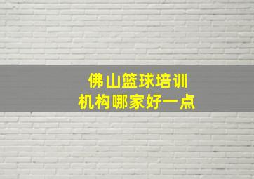 佛山篮球培训机构哪家好一点