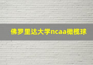 佛罗里达大学ncaa橄榄球