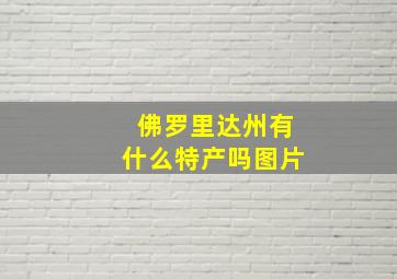 佛罗里达州有什么特产吗图片